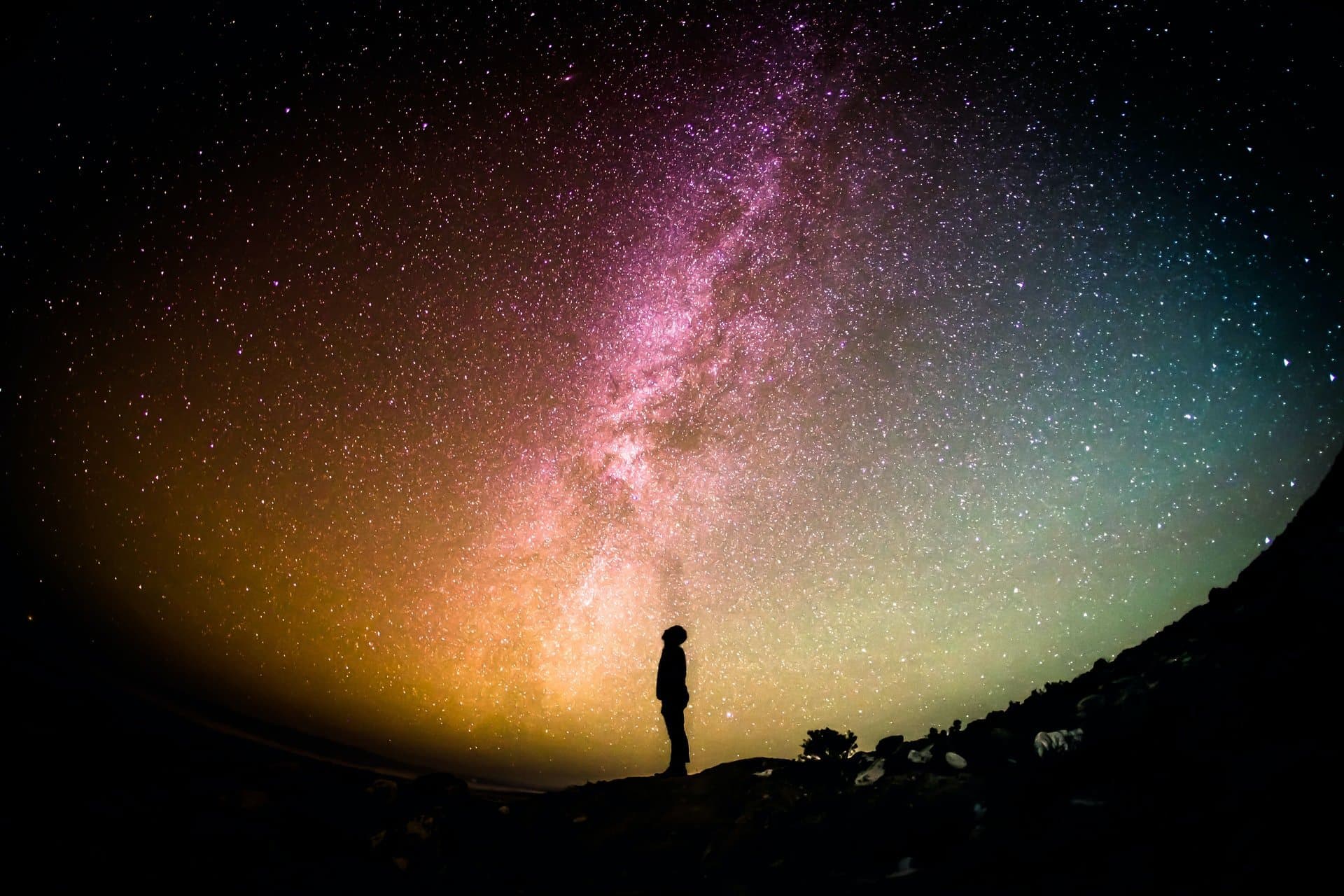 Find and Live Your Purpose